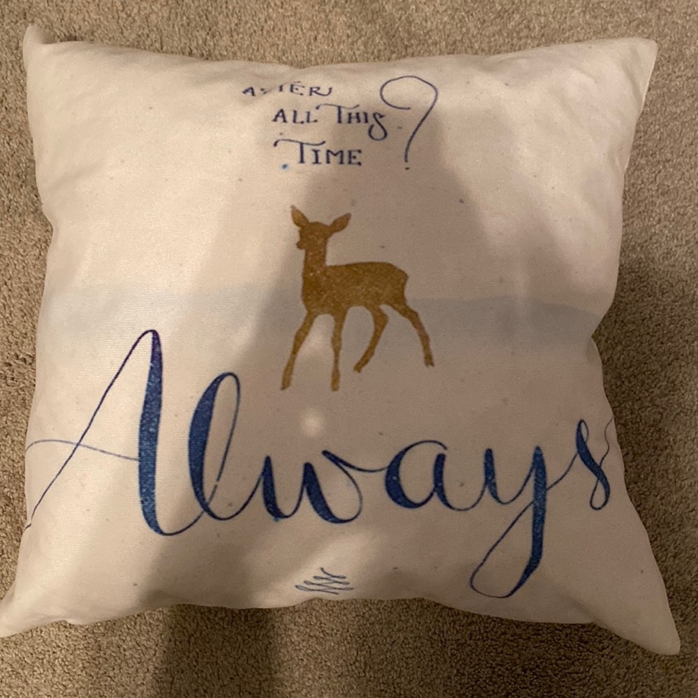 Harry Potter Pillow